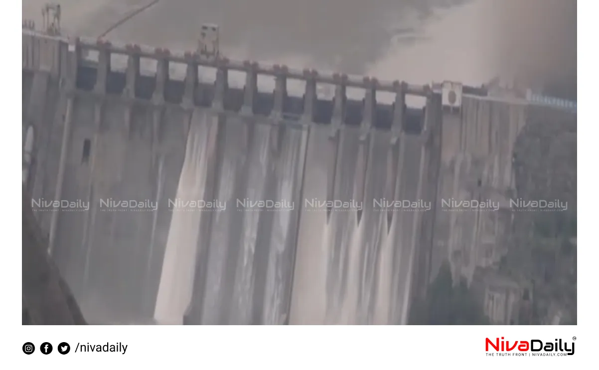 Salal Dam gates opened