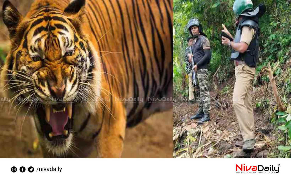 man-eating tiger