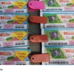 Karunya Plus Lottery