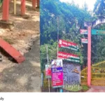 Konni elephant cage accident
