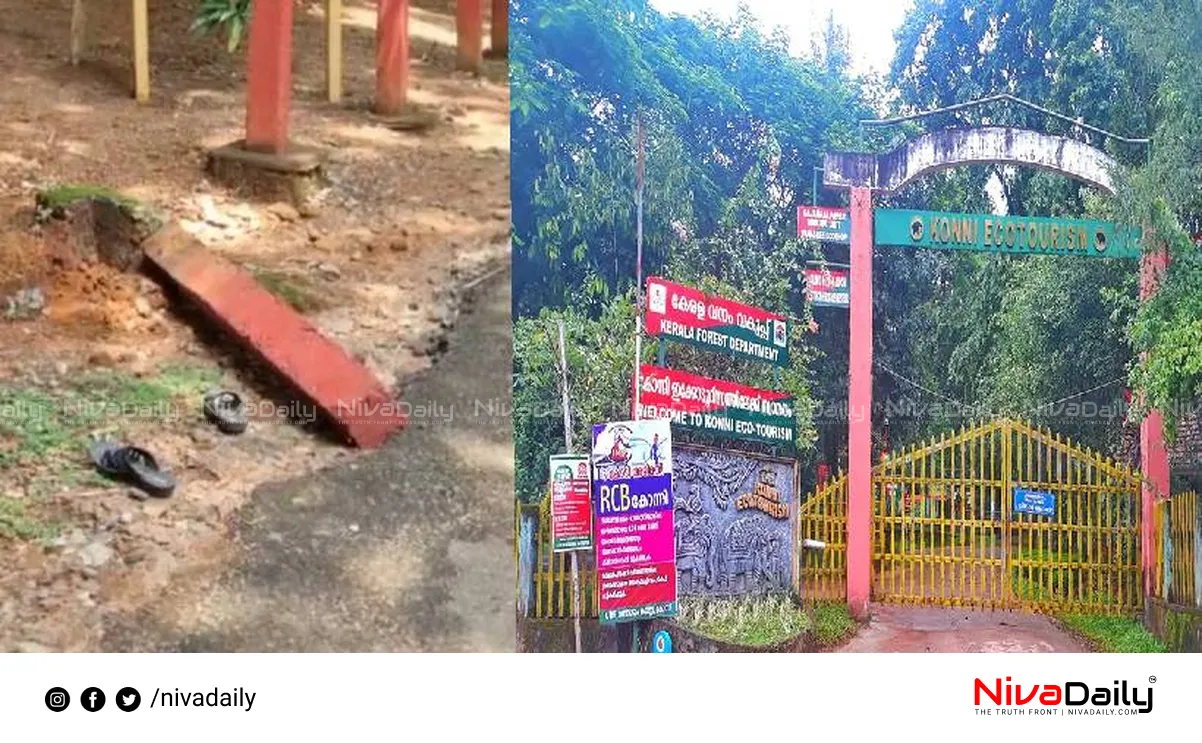 Konni elephant cage accident
