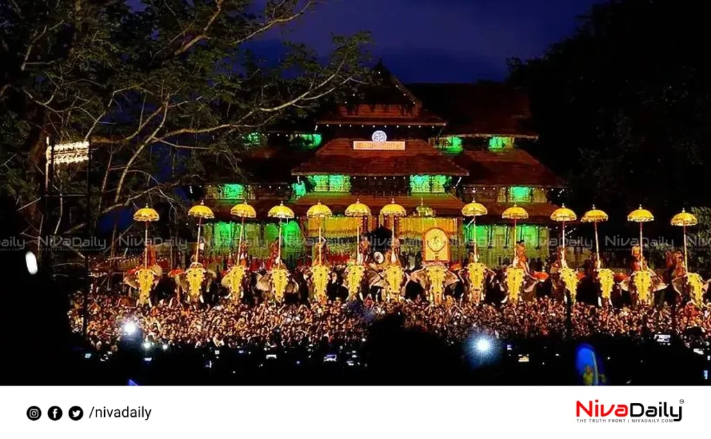 Thrissur Pooram elephants
