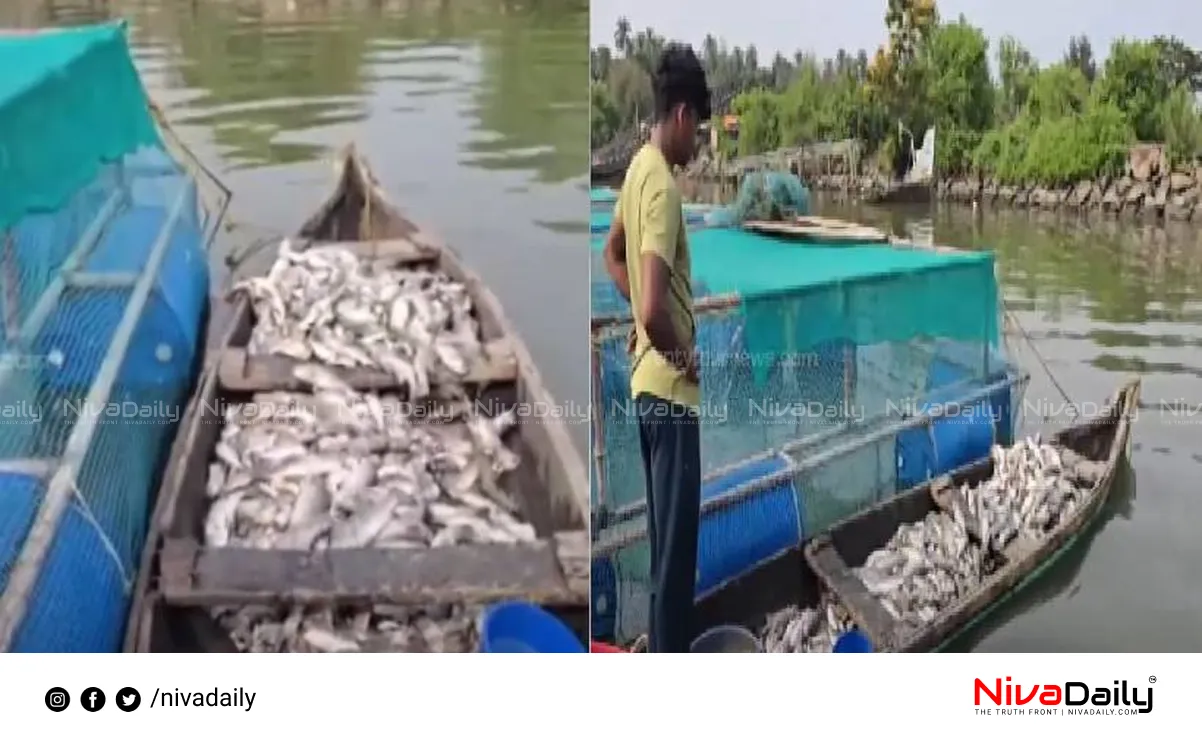 fish kill