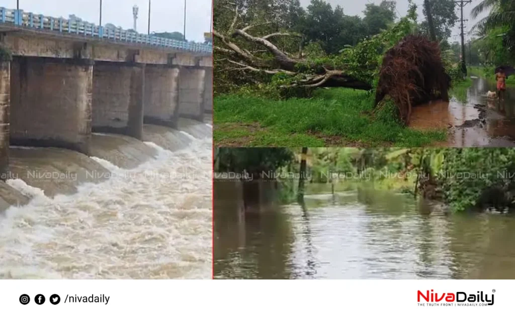 Kerala monsoon rainfall