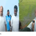 National highway collapse