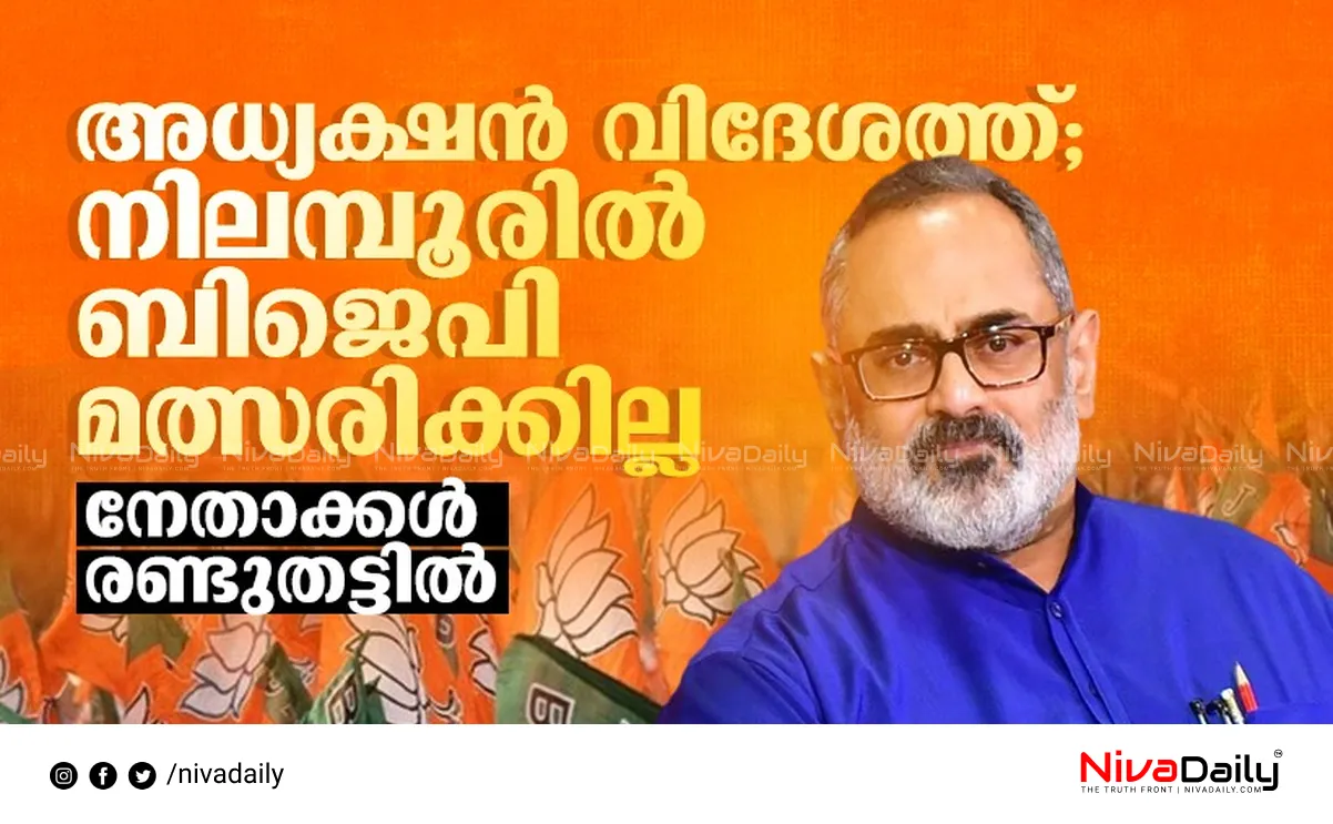 Nilambur by-election