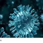 Nipah virus outbreak