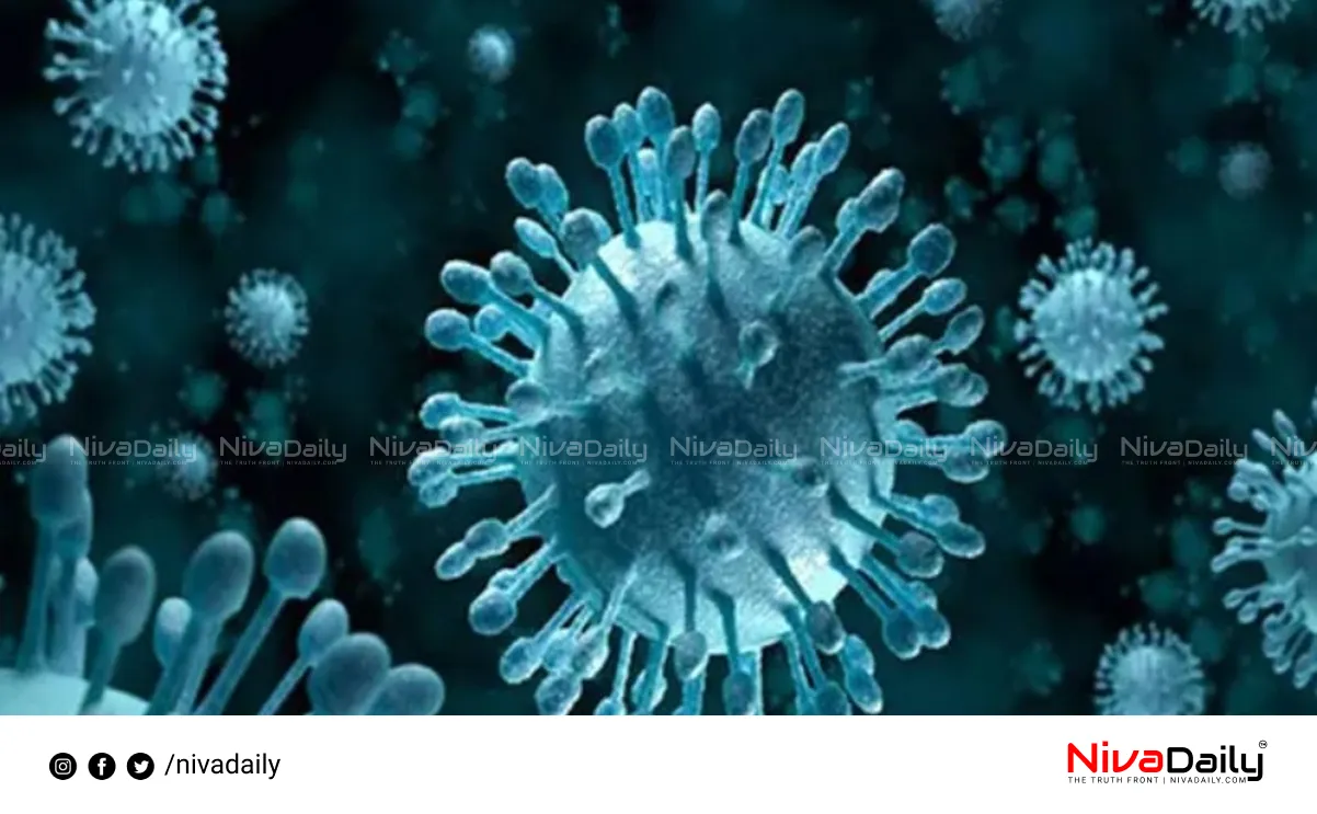 Nipah virus outbreak