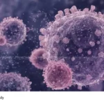 Nipah virus Kerala