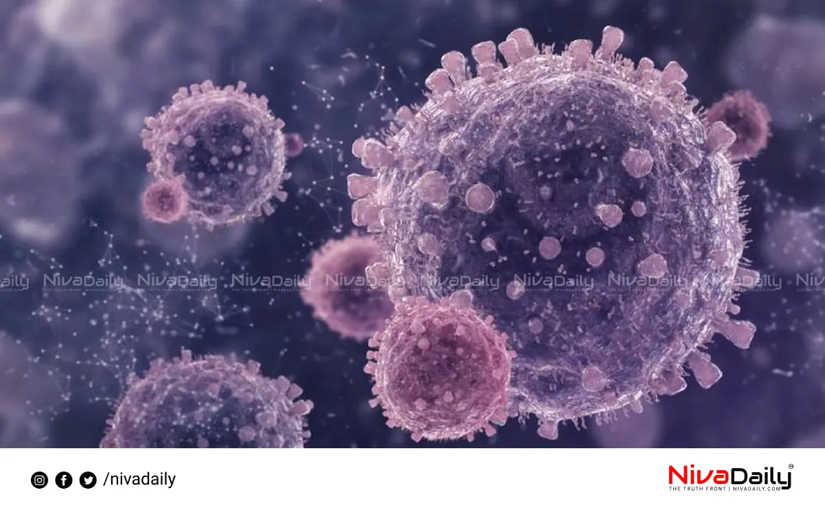 Nipah virus Kerala