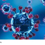 Nipah Virus outbreak