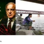 Salal Dam Opened