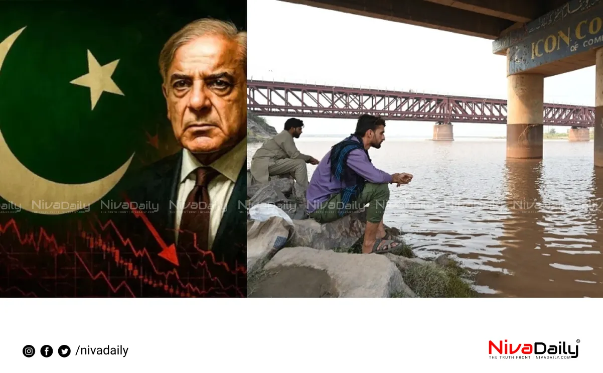 Salal Dam Opened