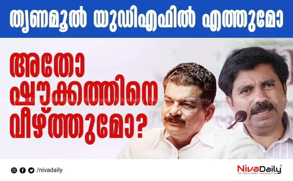 Nilambur by-election