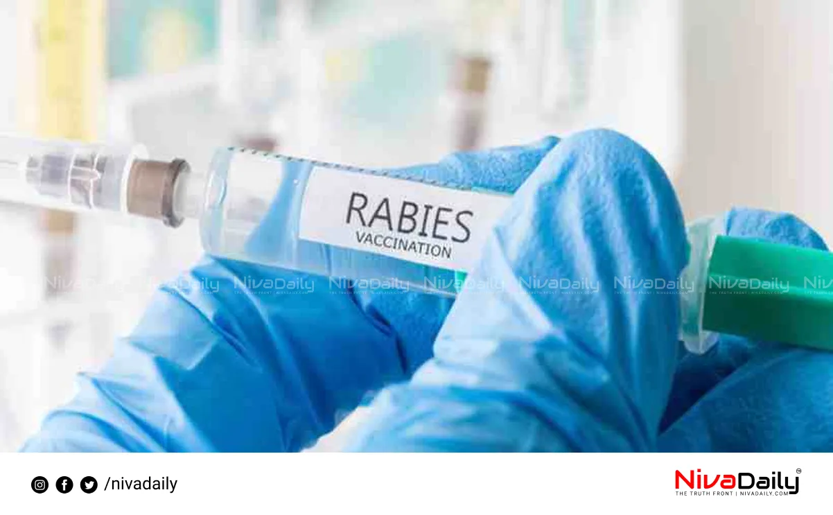 rabies vaccination