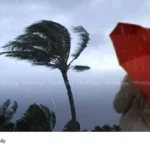 Kerala monsoon rainfall