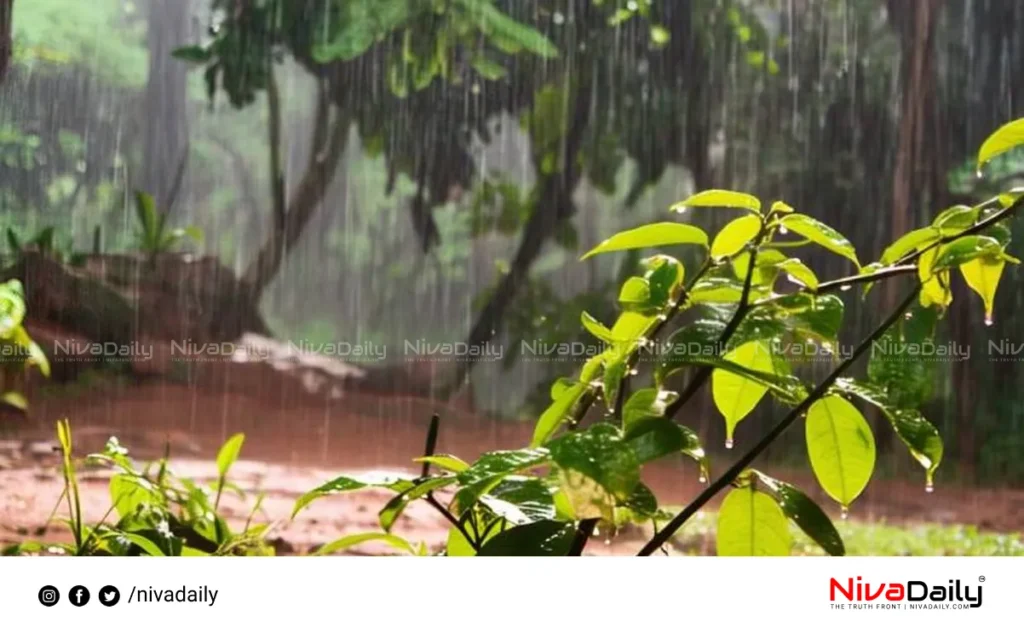 Kerala monsoon rainfall