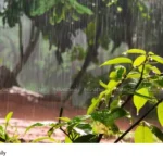 Kerala monsoon rainfall