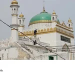 Sambhal Masjid Survey