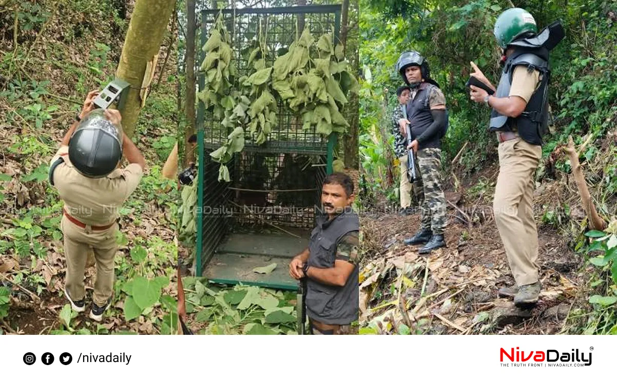 Kalikavu tiger search