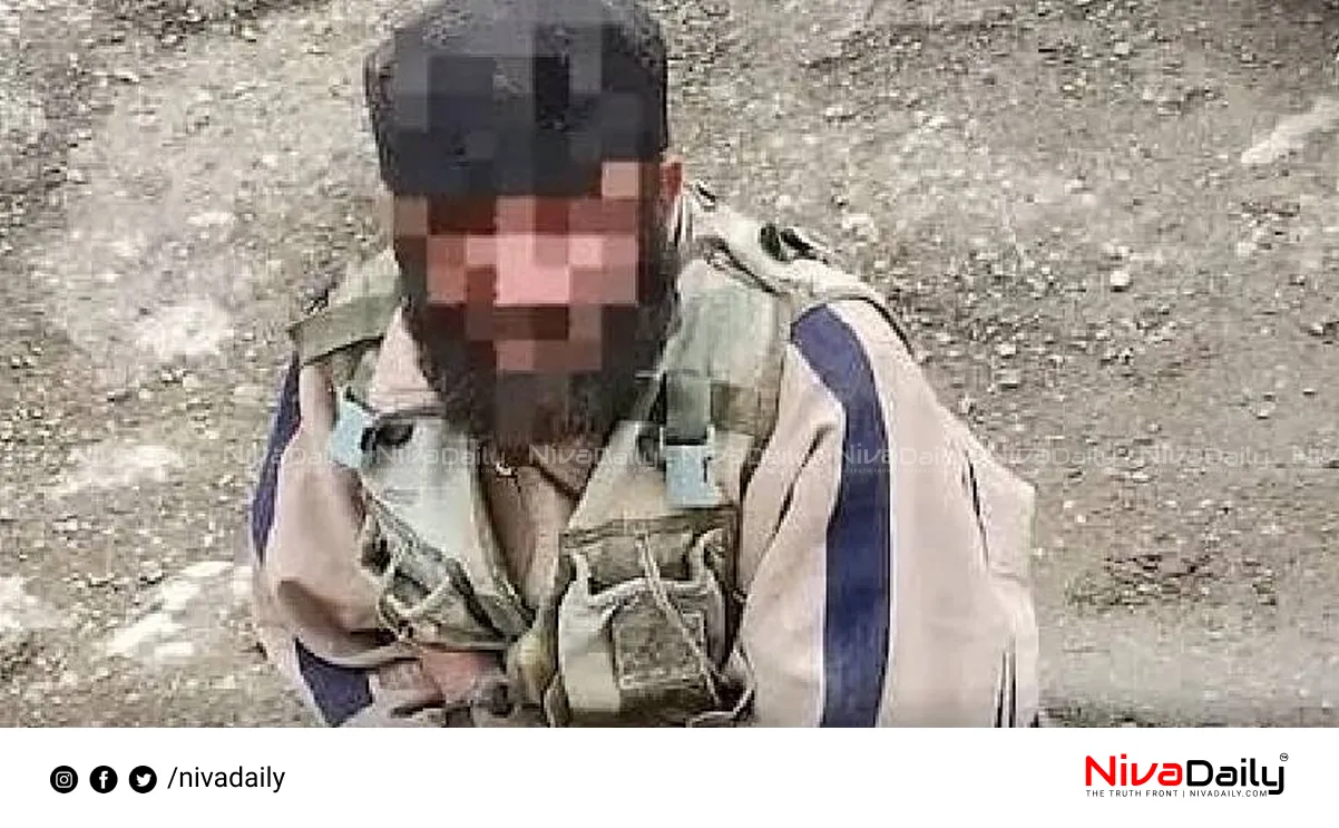 Baisaran Valley Arrest