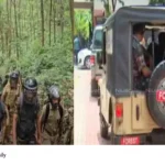 Kalikavu tiger attack
