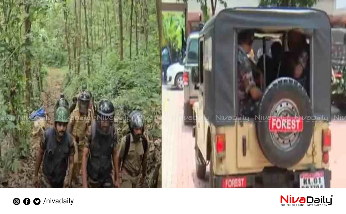 Kalikavu tiger attack