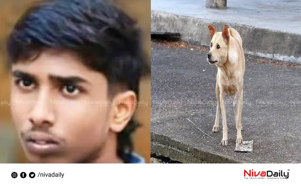 rabies death Alappuzha