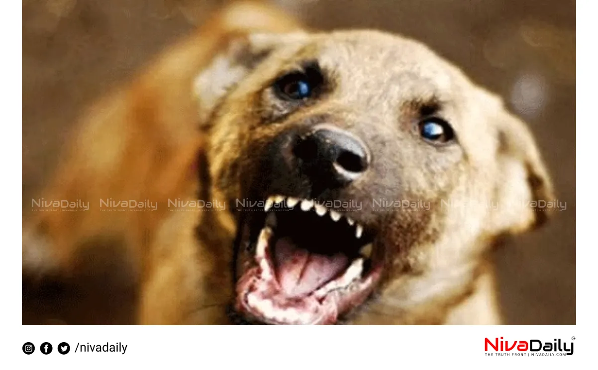 dog bite rabies death