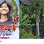 nursing student suicide