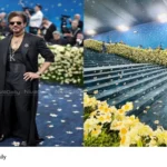 Met Gala Carpet