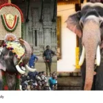 Thrissur Pooram