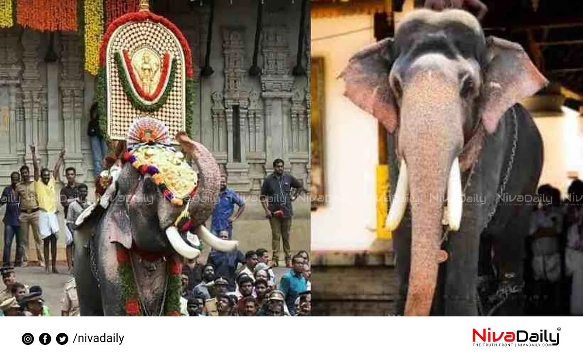 Thrissur Pooram