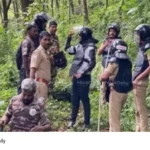 Karuvarakund tiger sighting