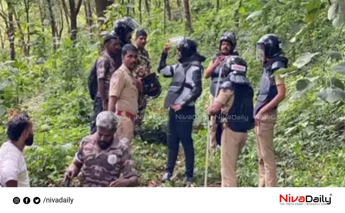 Karuvarakund tiger sighting