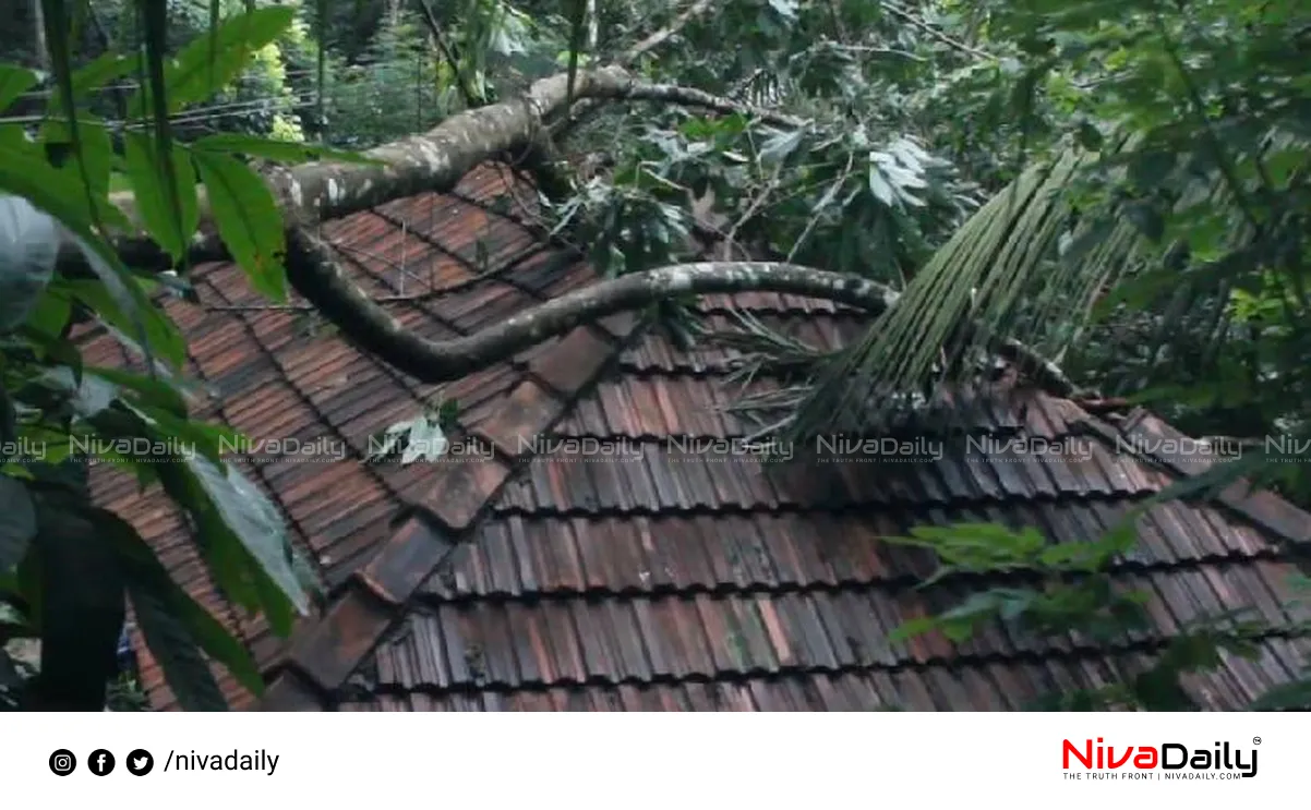 tree falls on house