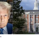 Foreign Students at Harvard