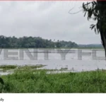 Kottayam boat accident