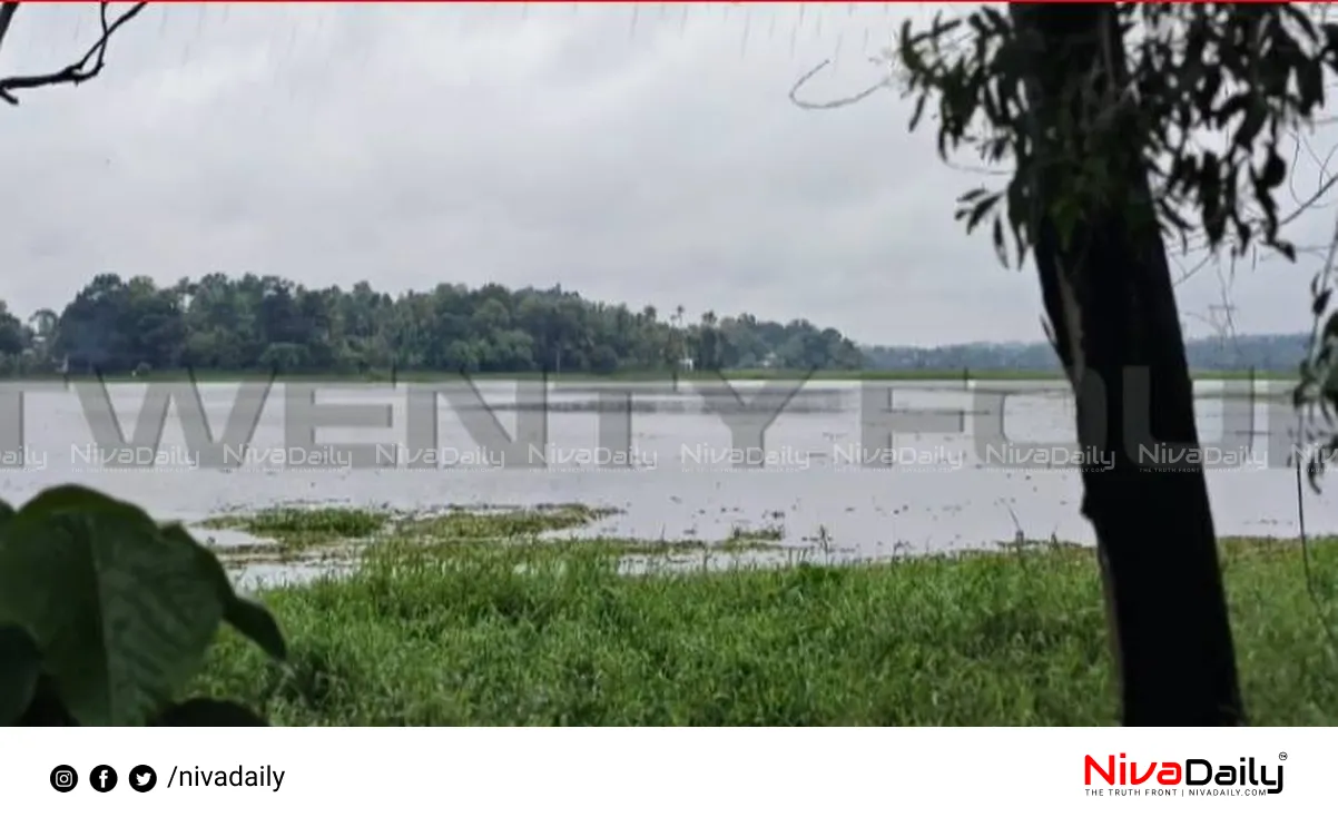 Kottayam boat accident
