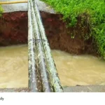 Wayanad rain updates