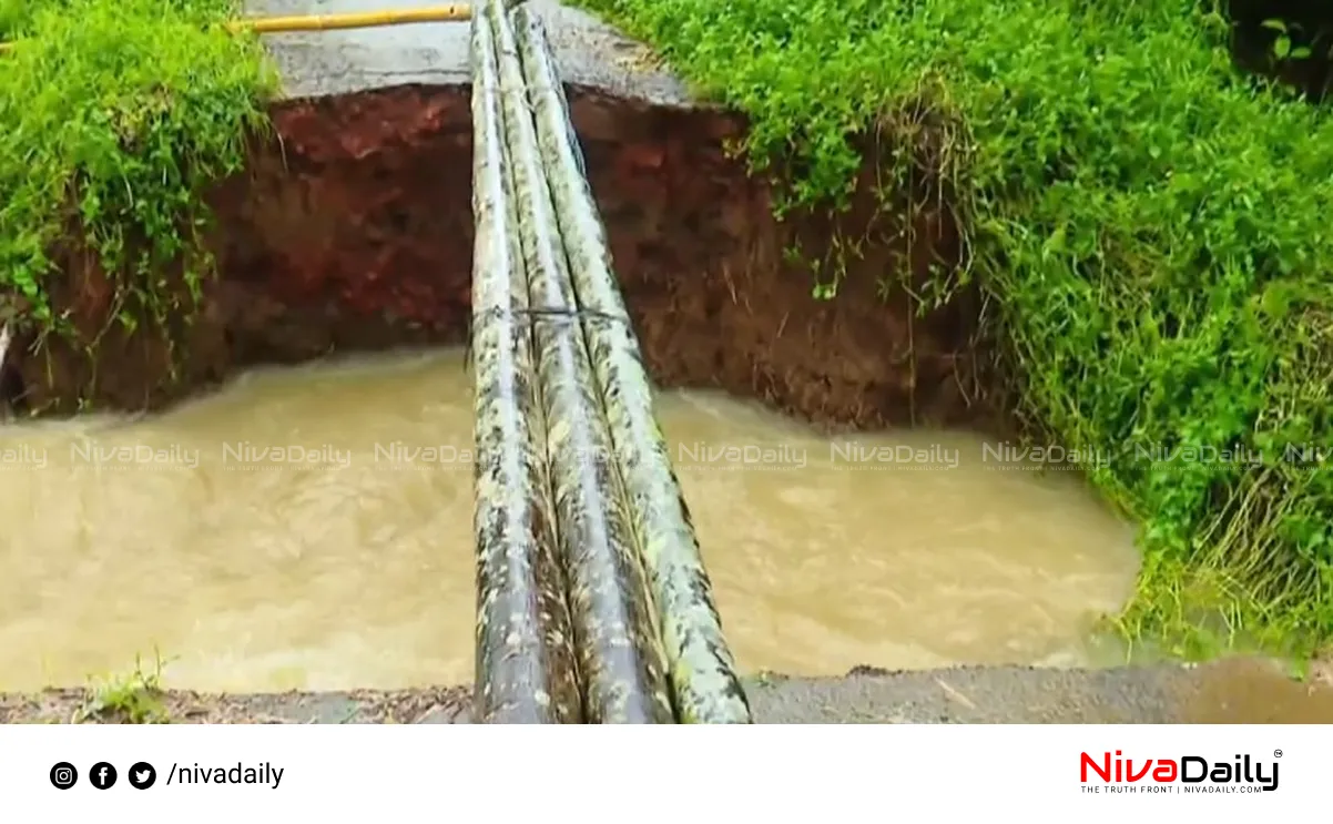 Wayanad rain updates