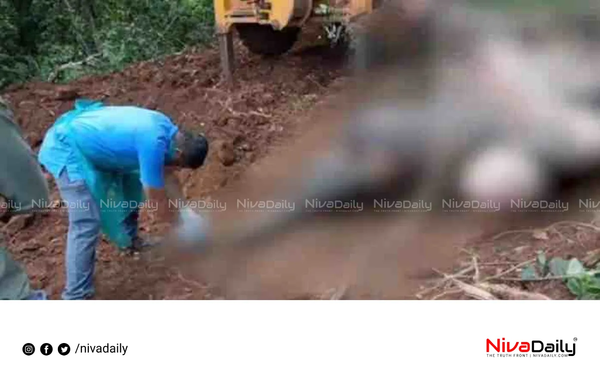 Konni elephant death