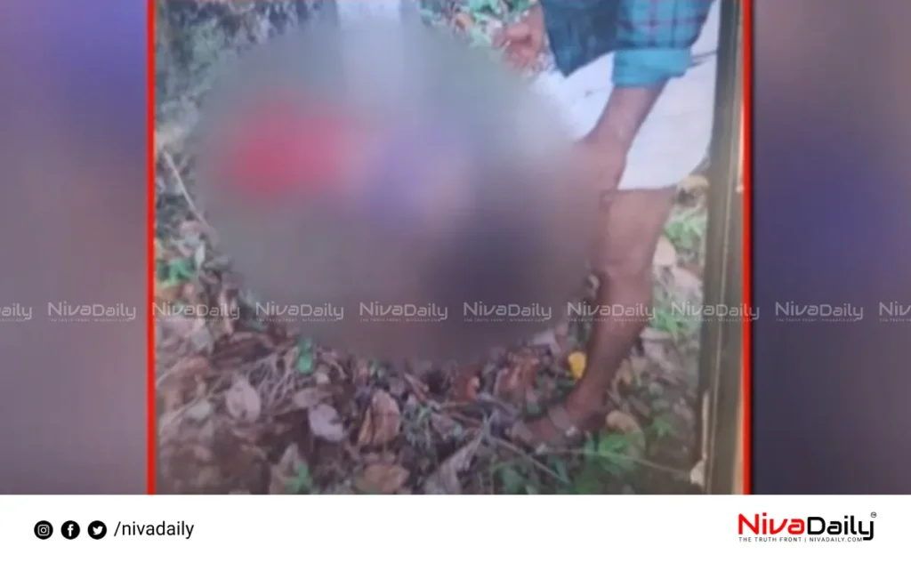 Karukachal Murder