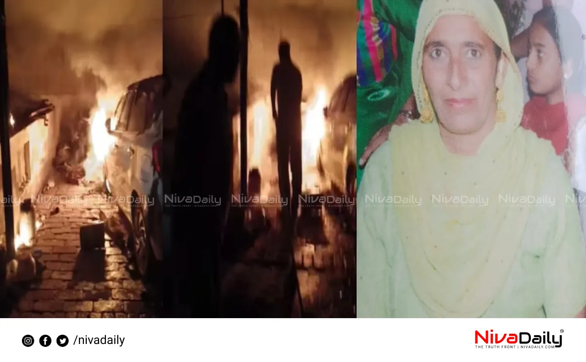 Punjab drone attack