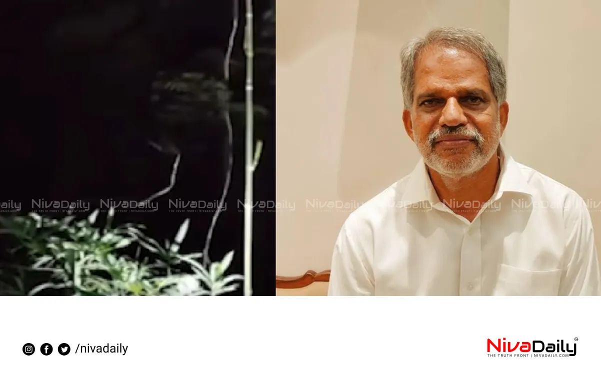 Vijayaraghavan slams Congress