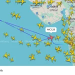 Air India flight
