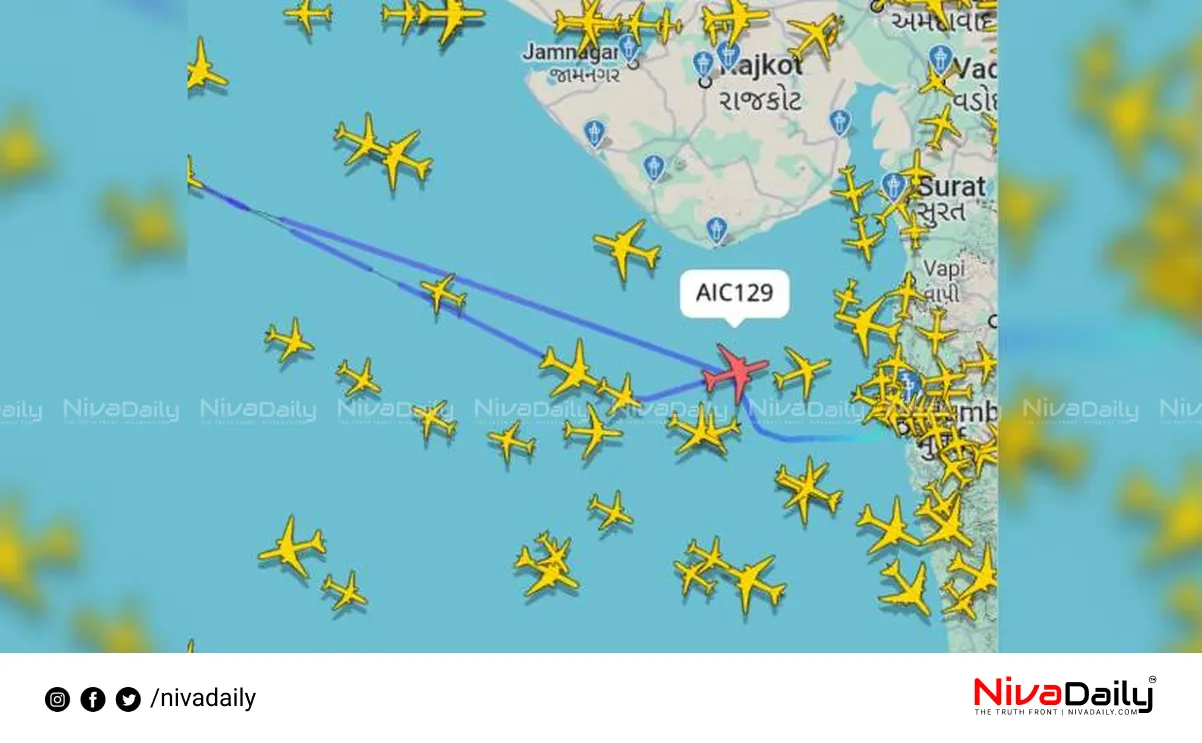 Air India flight