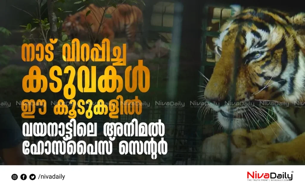 Animal Hospice Wayanad