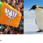 Marathi names for penguins