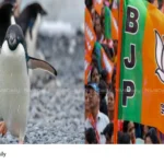Marathi names for penguins